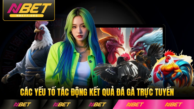 Các yếu tố tác động kết quả đá gà trực tuyến chi tiết nhất