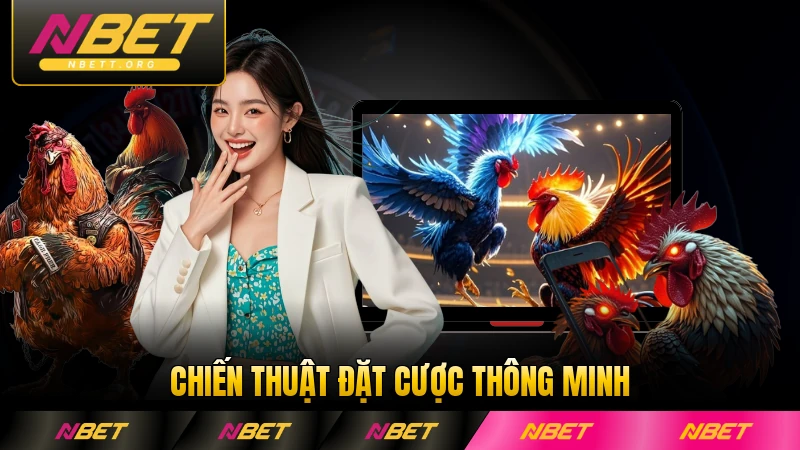 Chiến thuật đặt cược thông minh cho người mới NBET hiệu quả