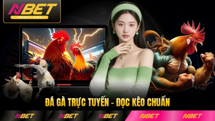 Đá Gà Trực Tuyến - Đọc Kèo Chuẩn Và Cược Thắng Lớn