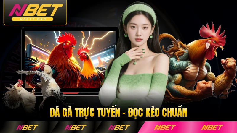 Đá Gà Trực Tuyến - Đọc Kèo Chuẩn Và Cược Thắng Lớn