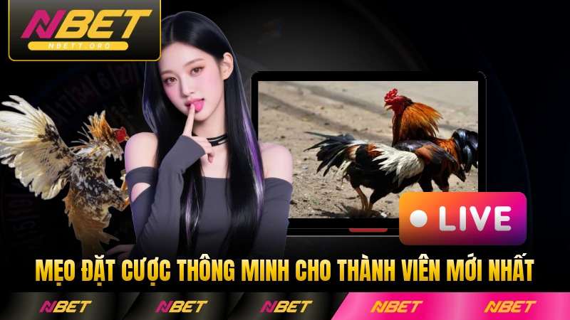 Mẹo đặt cược thông minh cho thành viên mới nhất