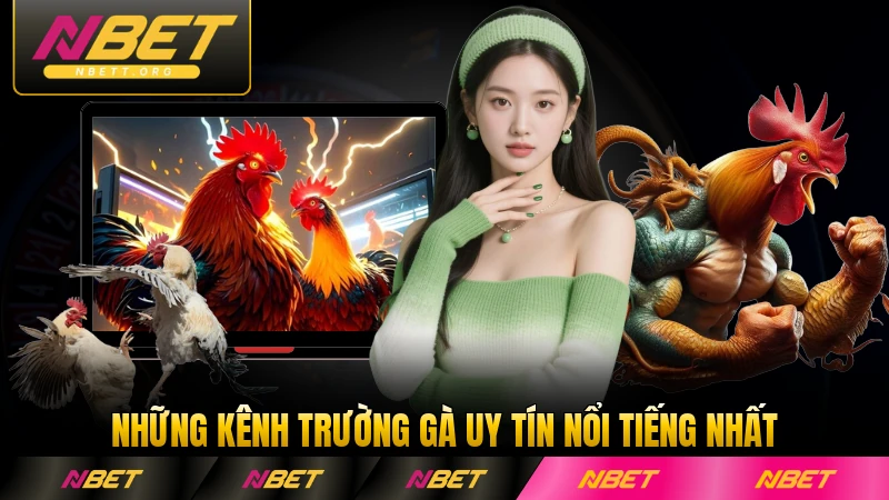Những kênh trường gà uy tín nổi tiếng nhất tại NBET toàn quốc