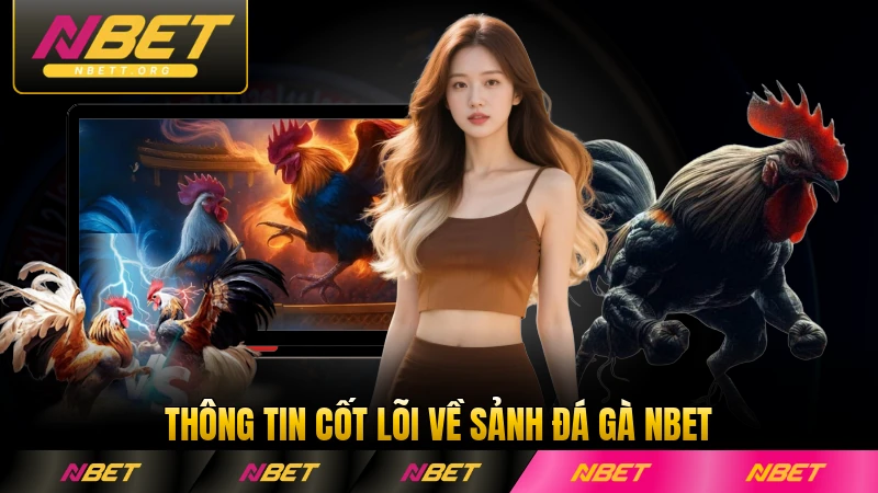 Thông tin cốt lõi về sảnh đá gà NBET hiện nay mới nhất